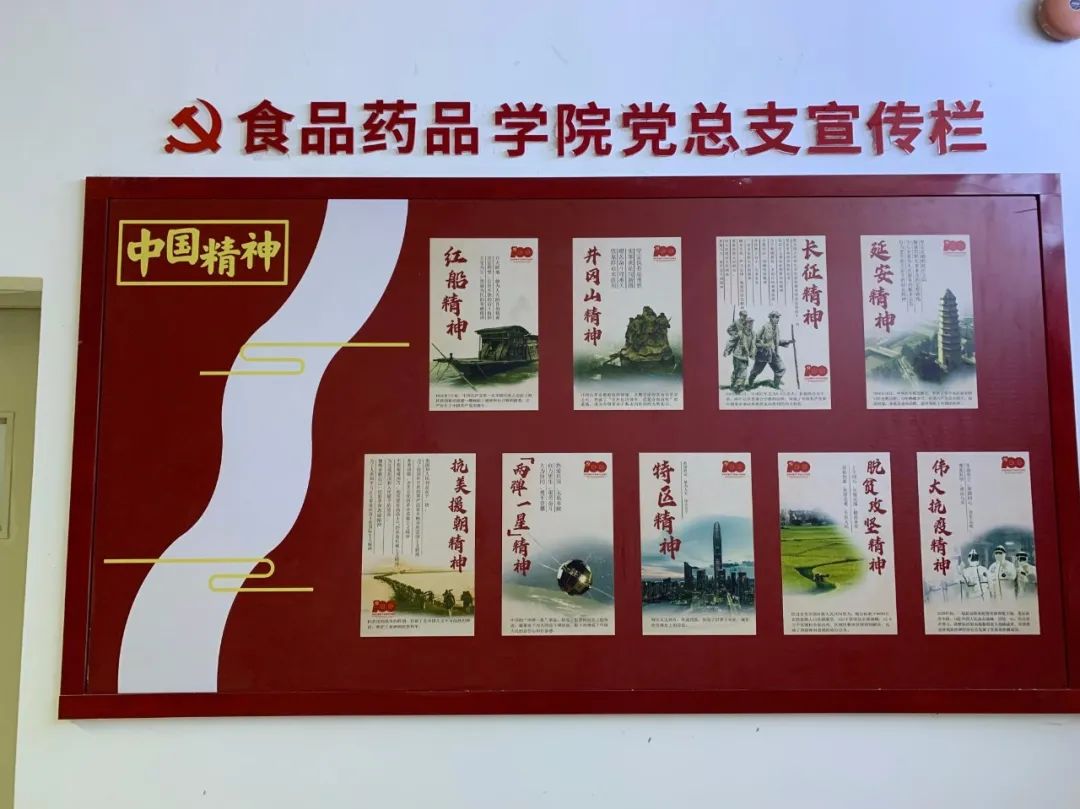 深圳職業(yè)技術(shù)學院食品藥品學院黨建文化墻完成搭建(圖10)